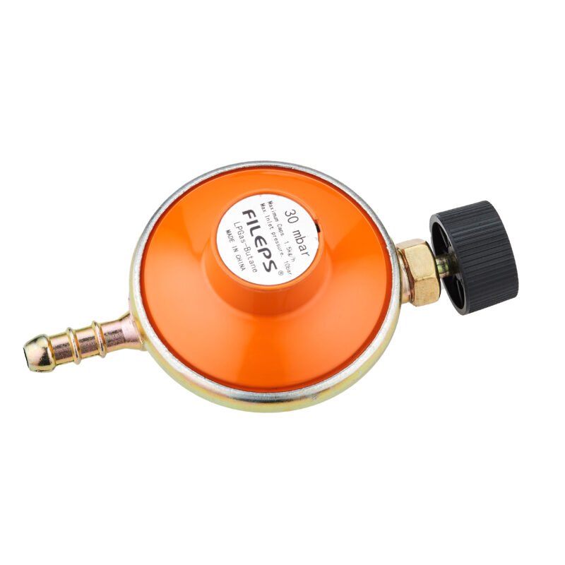 Camping Low Pressure Gas Regulator